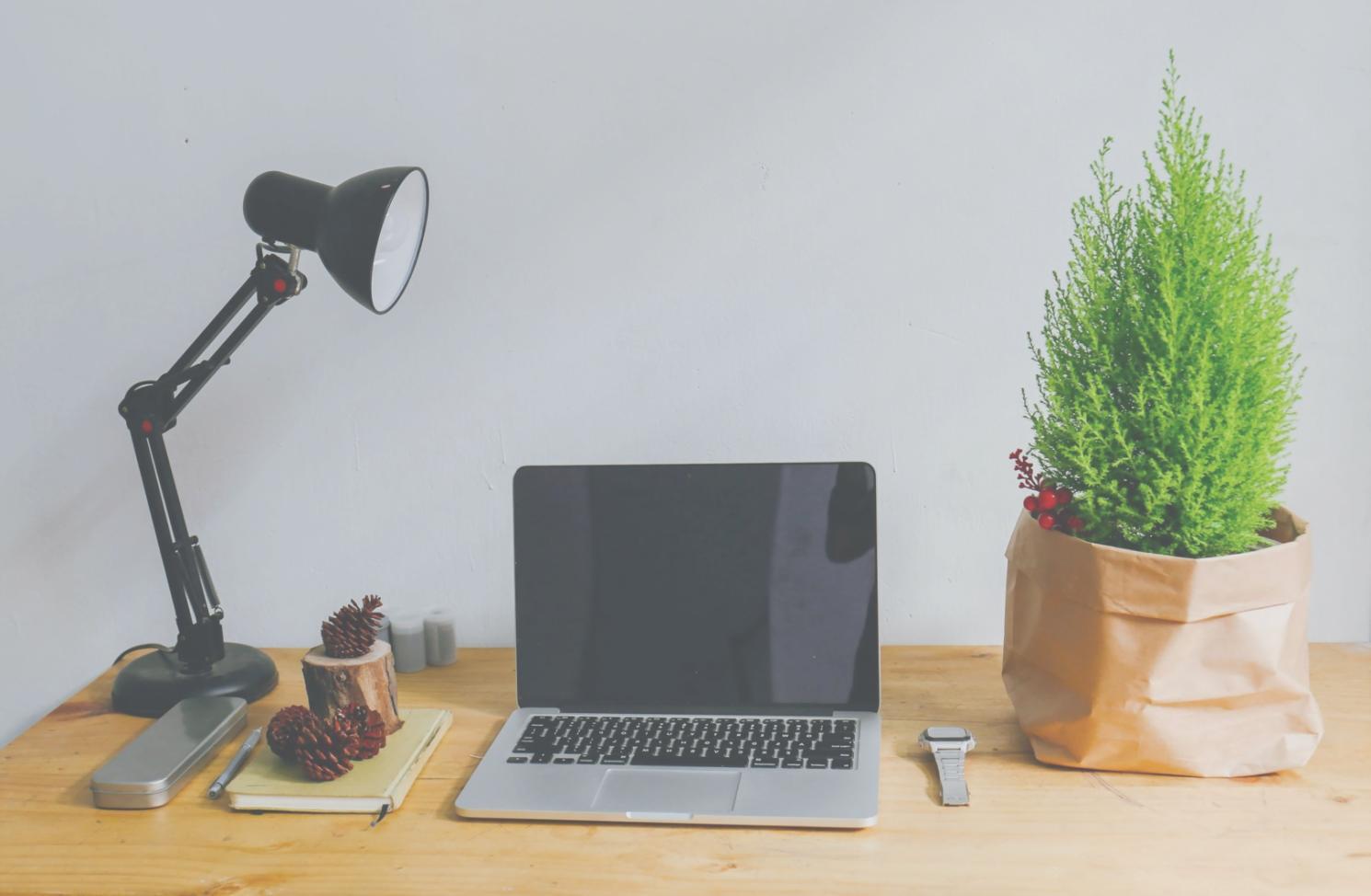 Teamarbeit bei der Finanzplanung